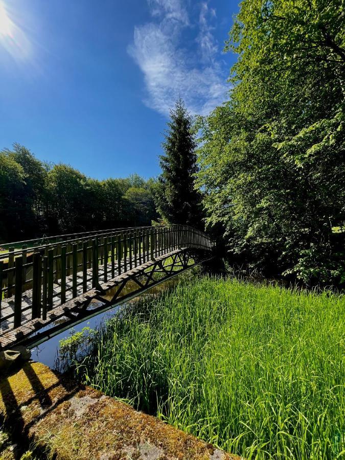 Domek W Glebi Lasu Nad Stawem Wierszyno Exterior photo
